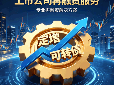 上市公司再融资服务｜定增/可转债/配股全流程合规辅导 高效过会落地图1